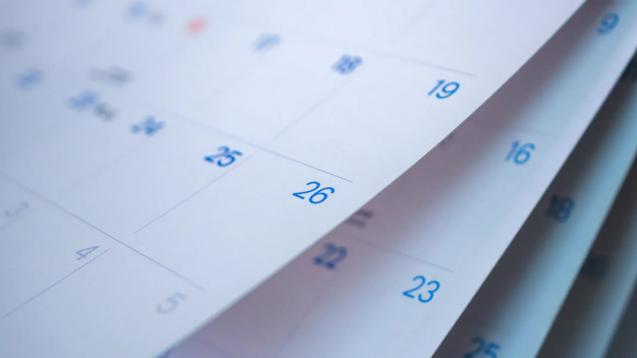 【結論】転職で保育園は退園になる?答えは「タイミングと自治体のルール次第」