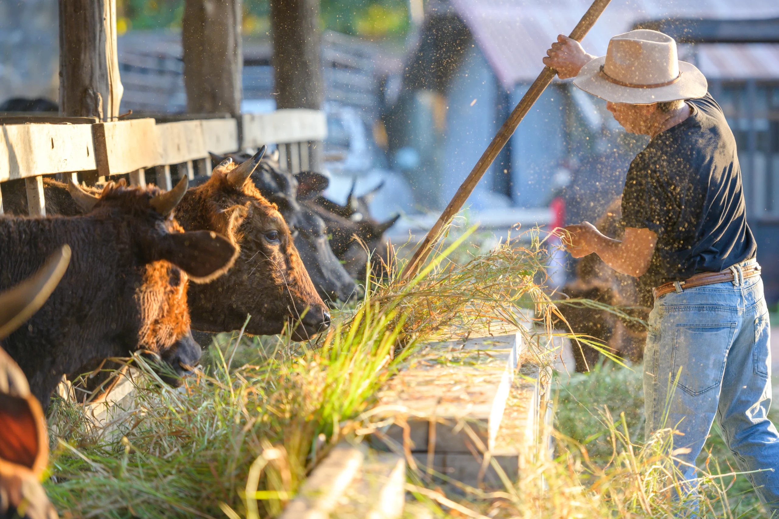 肉体労働の具体的な仕事と、そのメリット・デメリット
