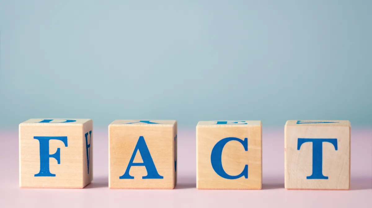 嘘を書くとどうなる？告知義務と経歴詐称のリスク