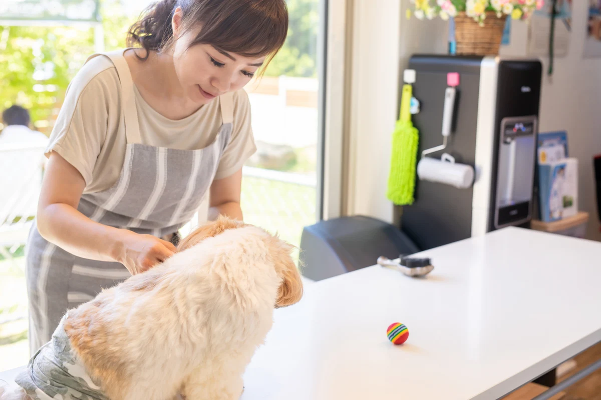 応募前に理解必須！ペット業界の主な仕事内容