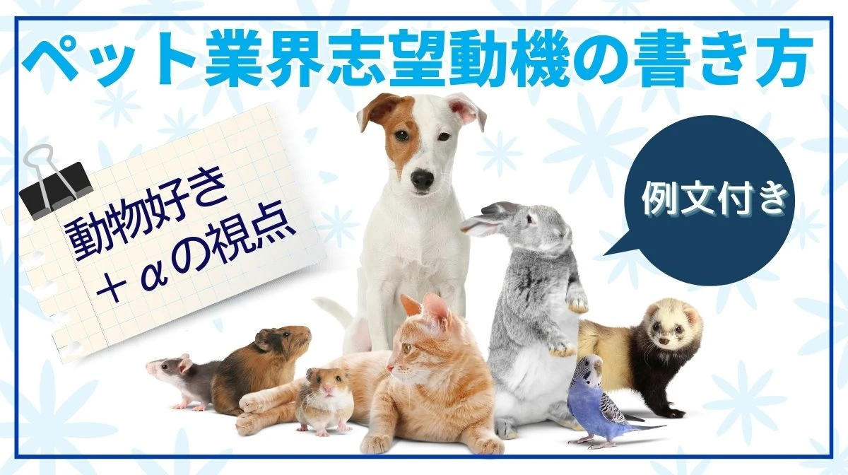 【例文付】ペット業界 志望動機の書き方｜動物好き＋αの視点の画像